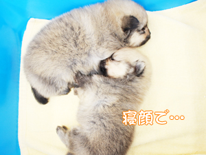 残暑お見舞い申し上げます☆
